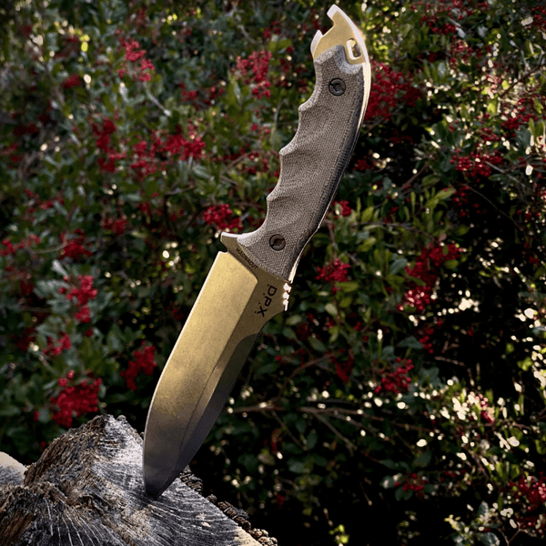 5_5011ff28-bd7b-4c6b-8c77-